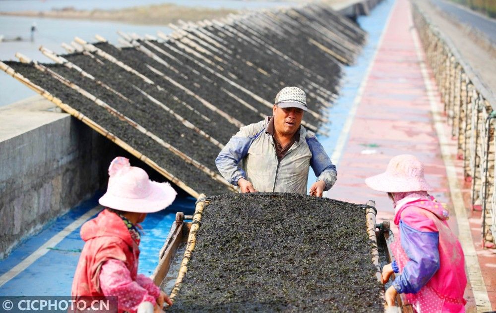 新华社客户端|立冬时节农事忙