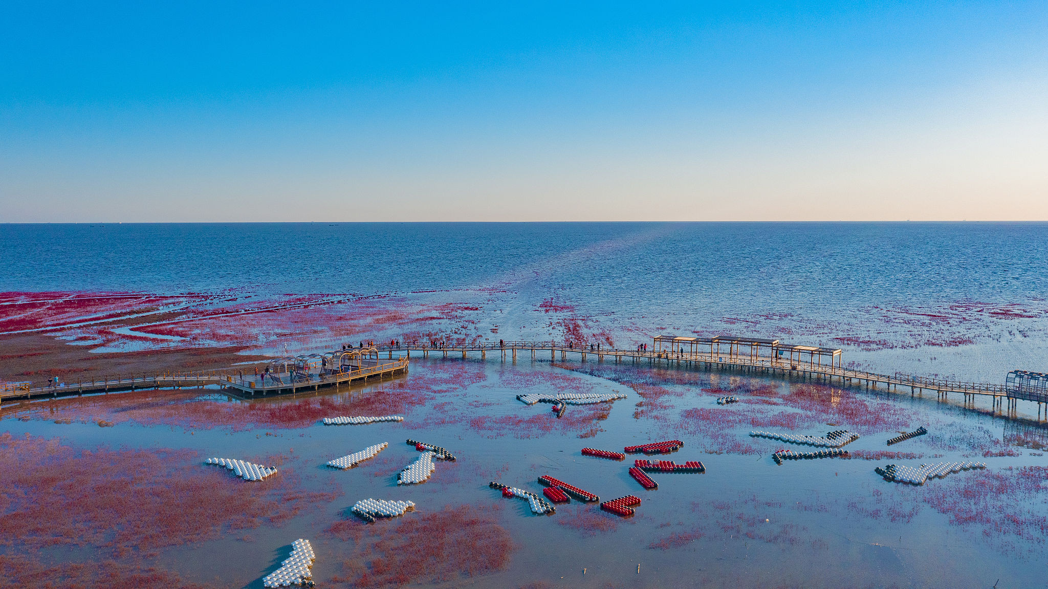 天下奇观红海滩：地球唯一的红色海岸，秋天最美的血色浪漫 - 知乎