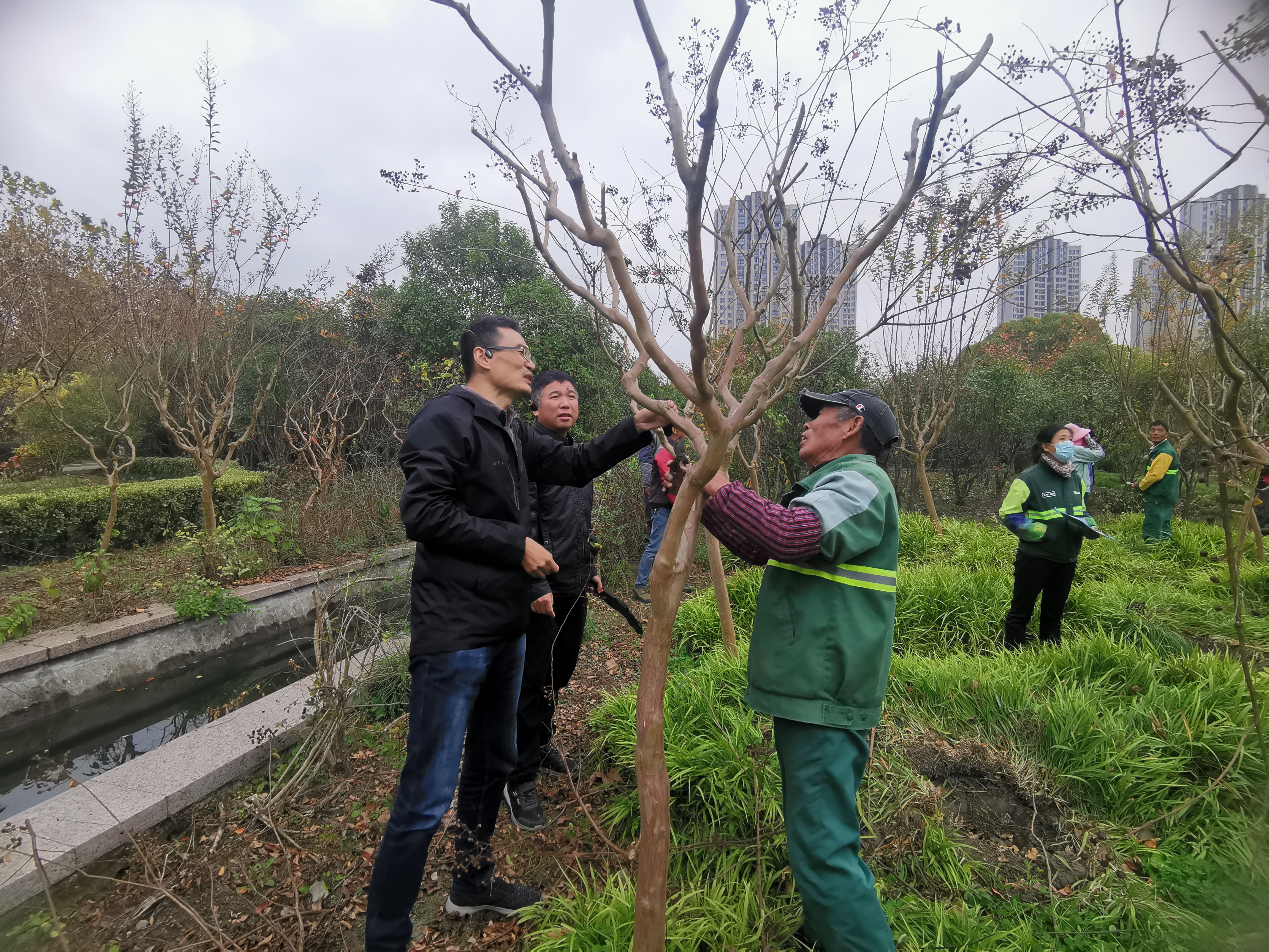 【城投集团·凯盛】 凯盛公司开展冬季花灌木修剪技术培训