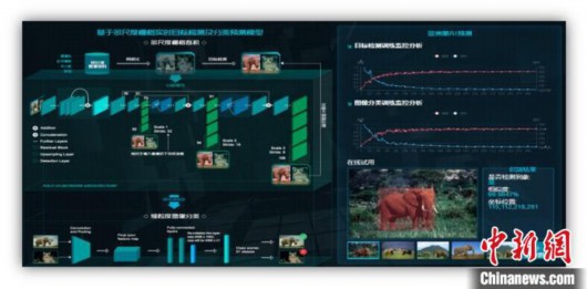 中国首个野象监测项目预警已逾3000余次旨在减少人象冲突