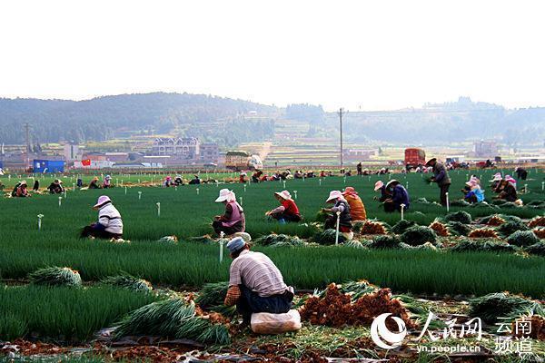 三元1.jpg?x-oss-process=style/w10