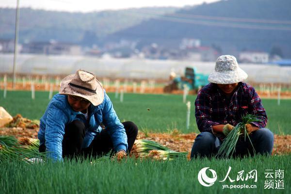 三元2.jpg?x-oss-process=style/w10