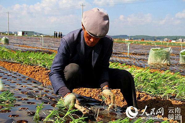 三元4.jpg?x-oss-process=style/w10