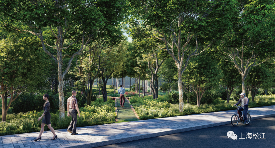 10000平方米滨水绿地,1000米景观绿道……松江这条路将美出新高度!