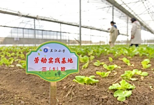 文明浇灌“人情味”岩头打造“快乐老家”