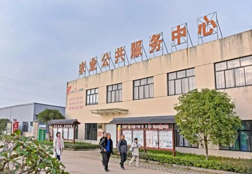 文明浇灌“人情味”岩头打造“快乐老家”