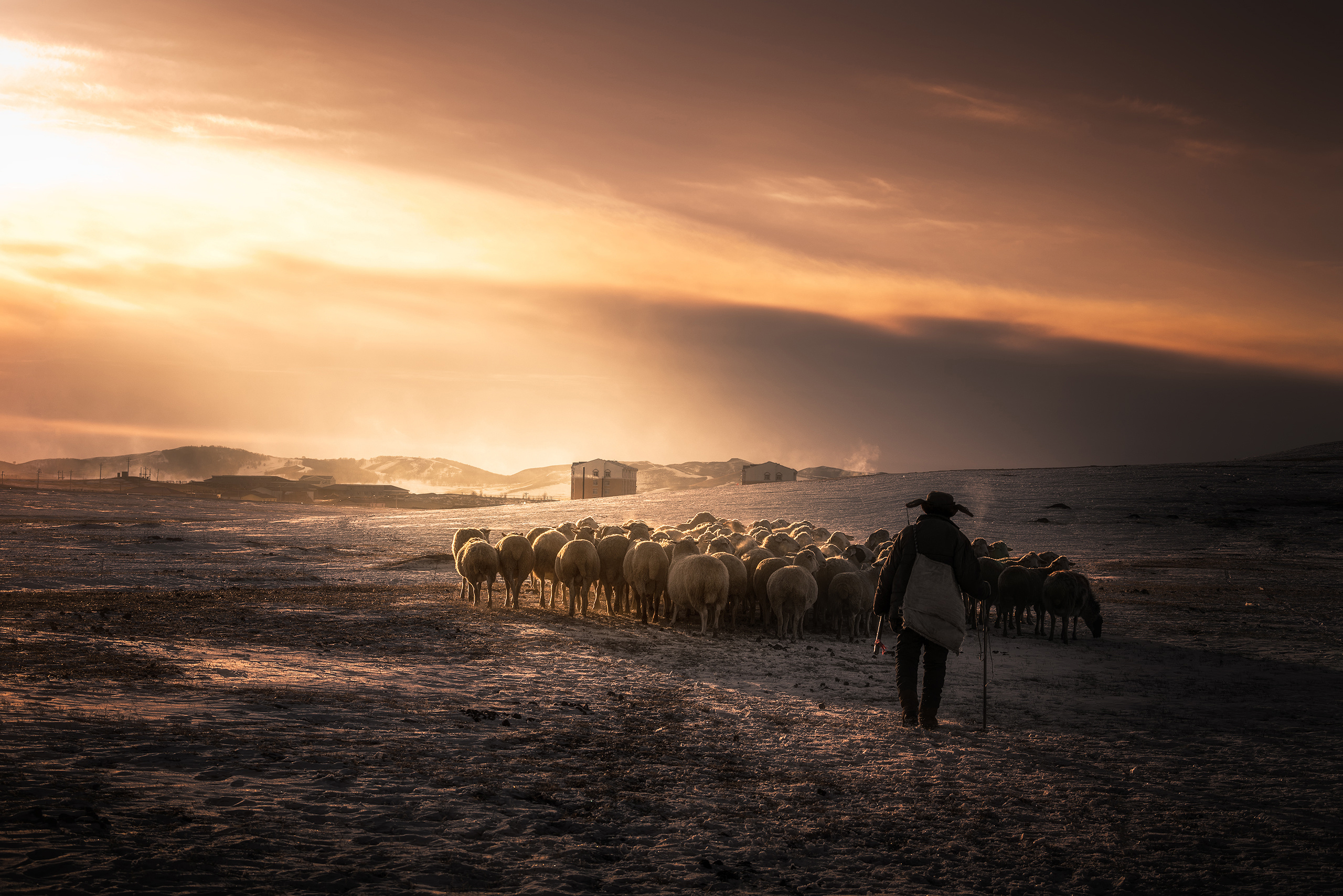 104594_1.jpg?x-oss-process=style/w10