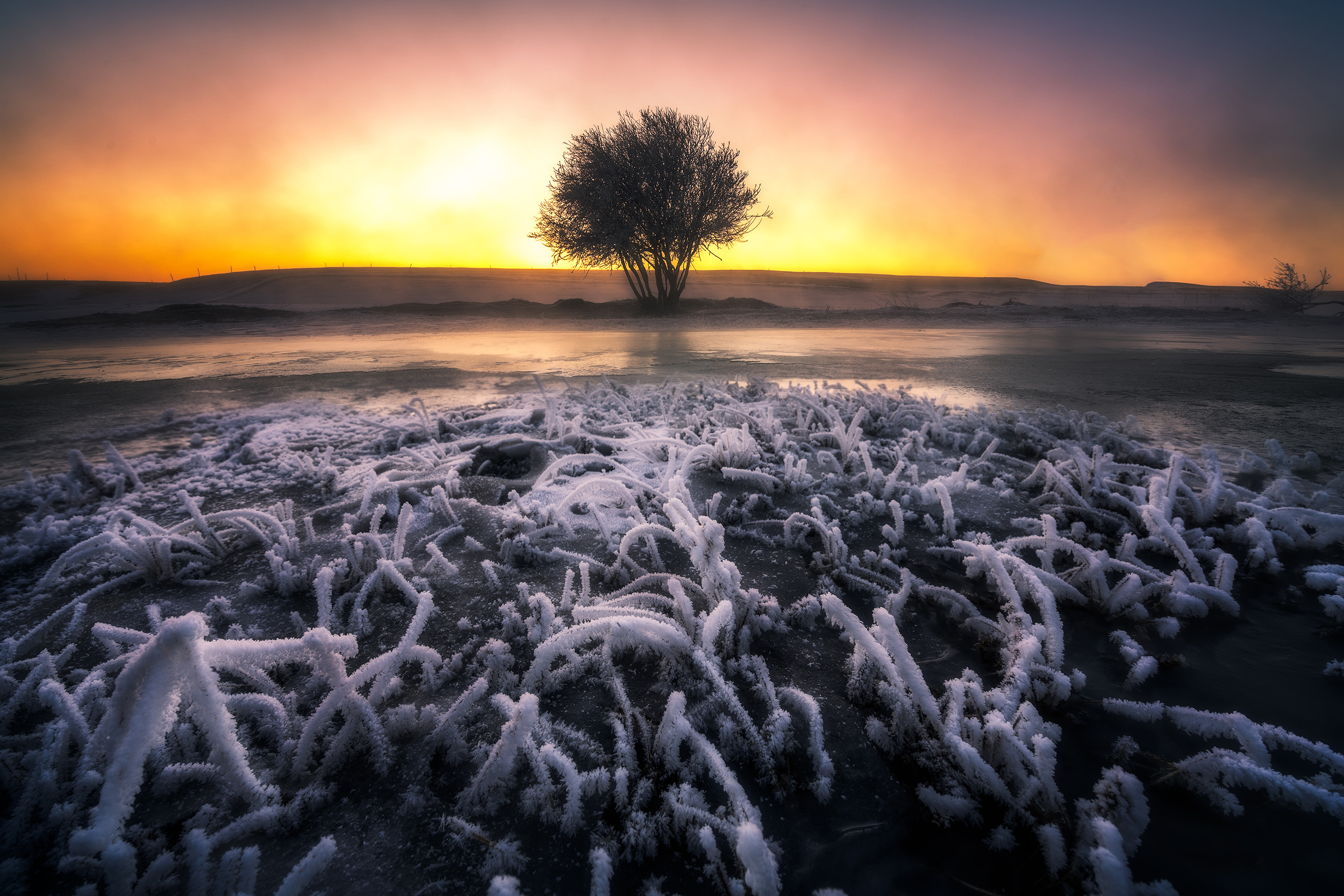 104594_2.jpg?x-oss-process=style/w10