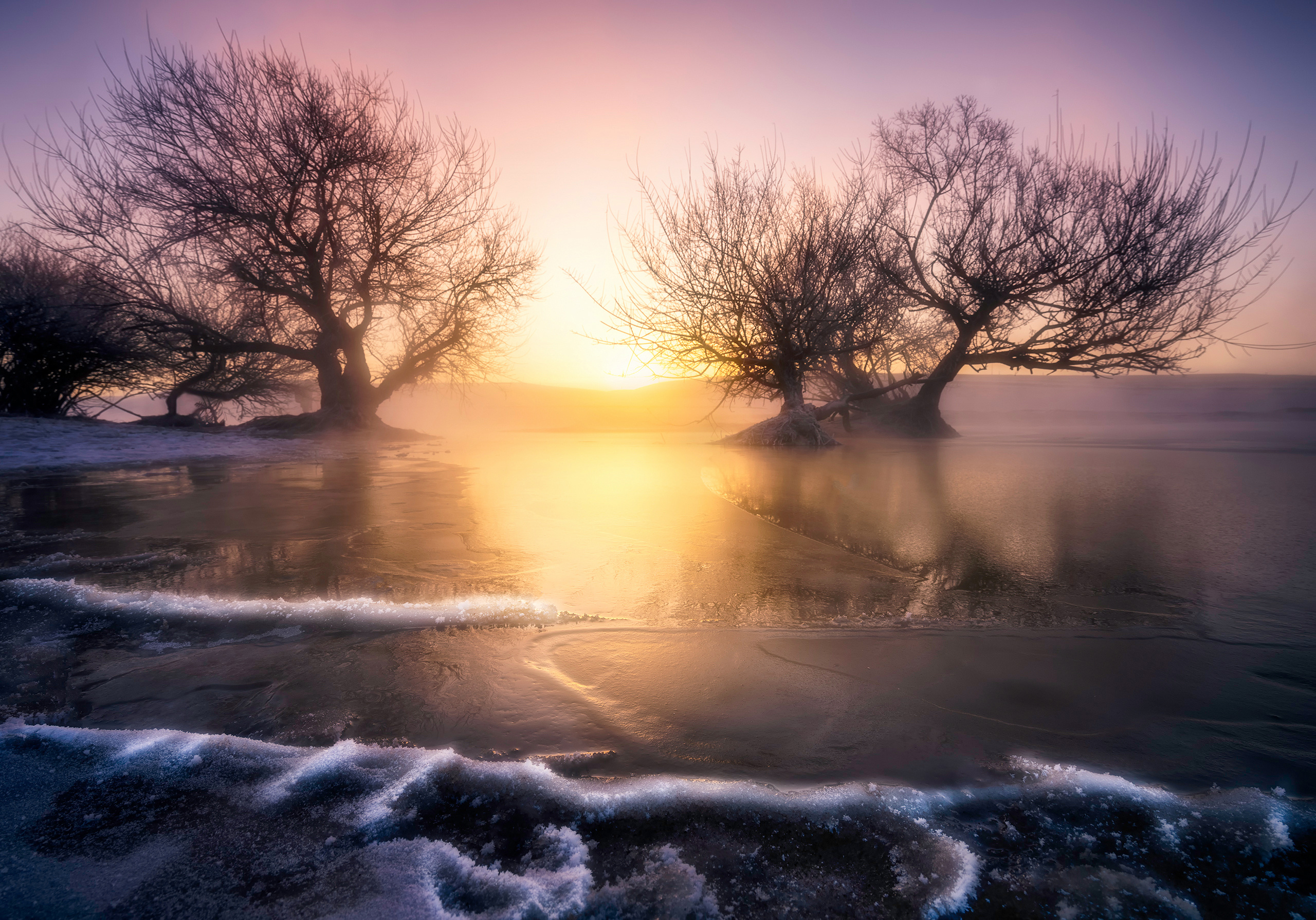 104594_6.jpg?x-oss-process=style/w10