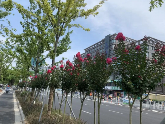 金山竟有那么多免费赏景地 每一处都能找到绝美的四季