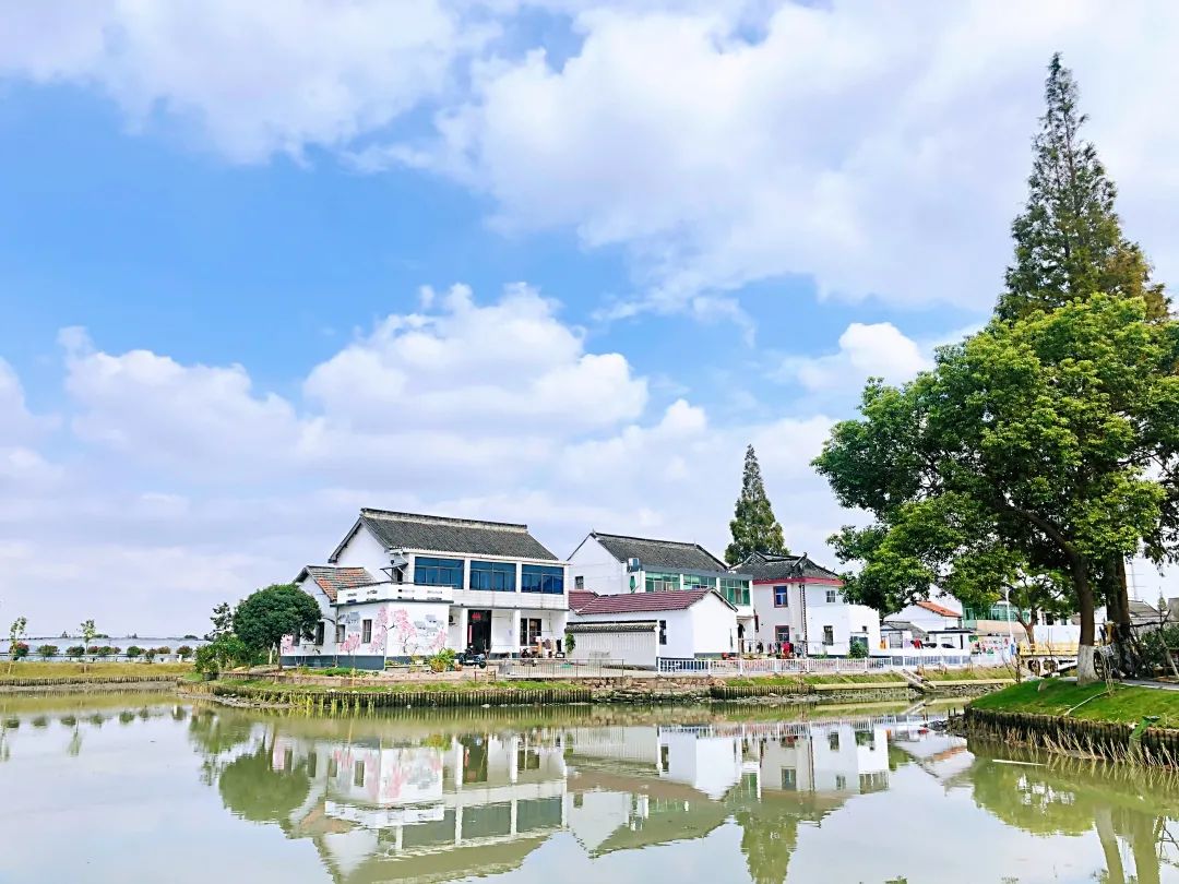 白鹤镇红旗村:一眼就心动,这个村庄美"出圈"