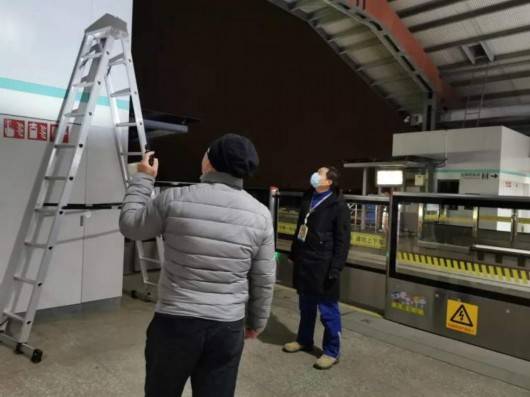 孔雀飞入上海地铁站“避寒”，各方联手巧妙营救