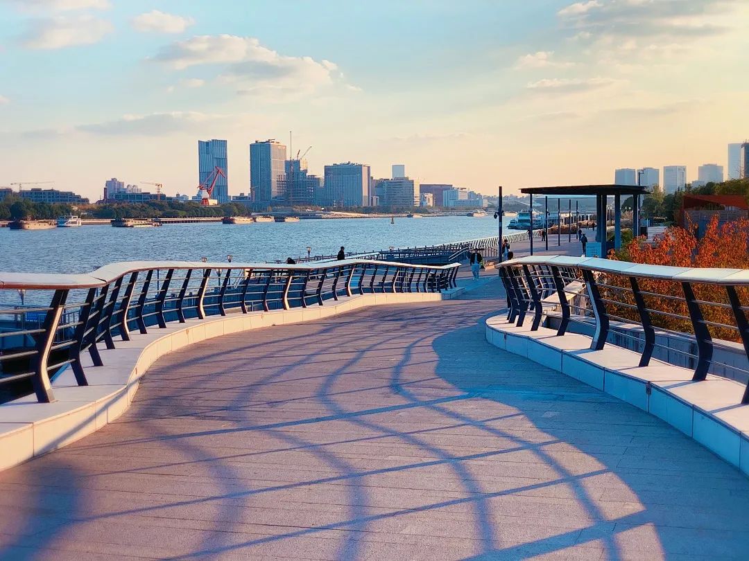 看着黄浦江两岸壮美风景,漫步草木繁盛的健身跑道上,在这特别的冬日