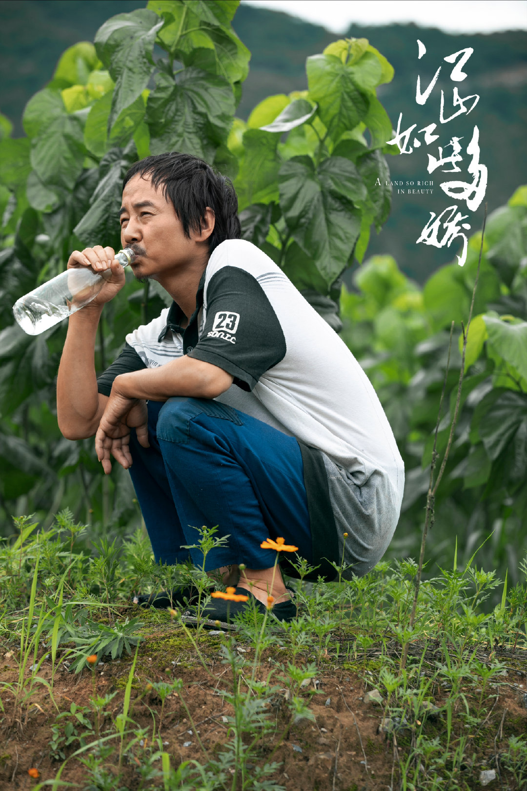 脱贫攻坚剧《江山如此多娇》叫好又叫座