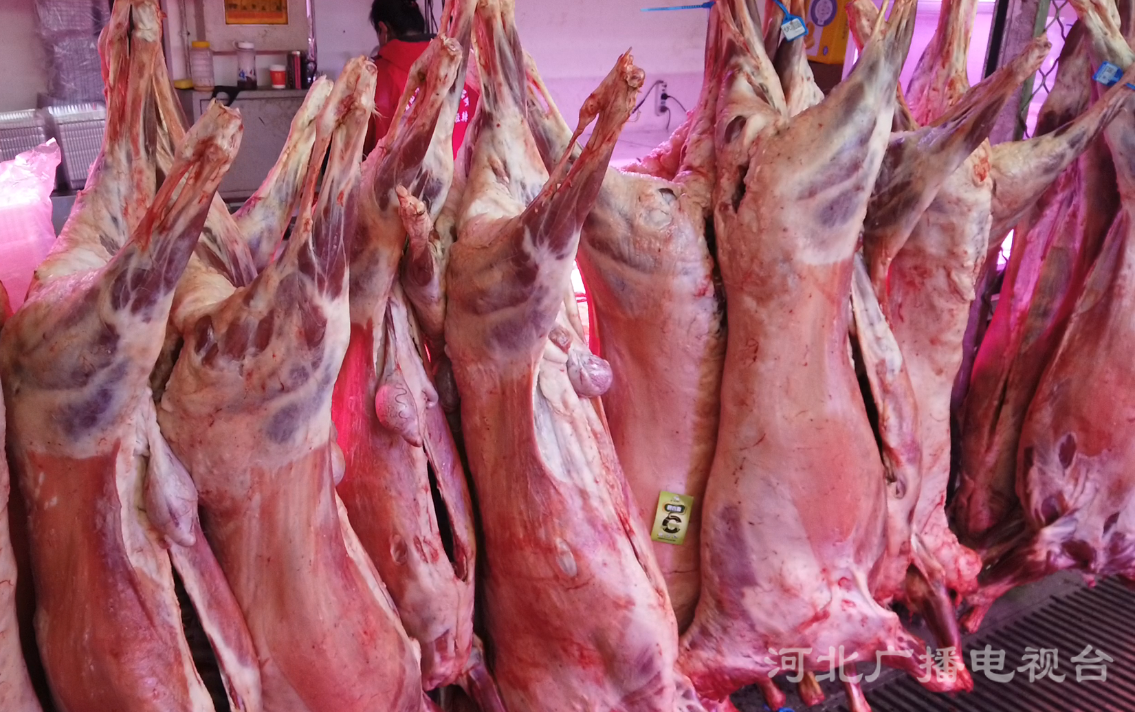 市场新挂出的内蒙整羊,老板说每日到货每日售罄,均为整只售卖,也有