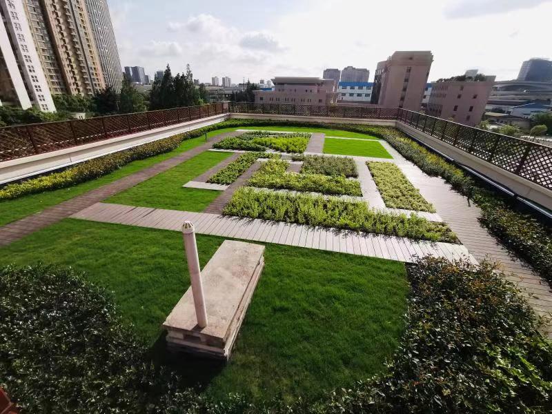 大宁国际幼儿园屋顶绿化↑   区绿化委员会办公室整合资源,统筹协调