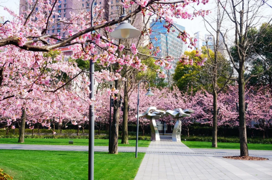 静安各公园一整年最美的风景都在这里了