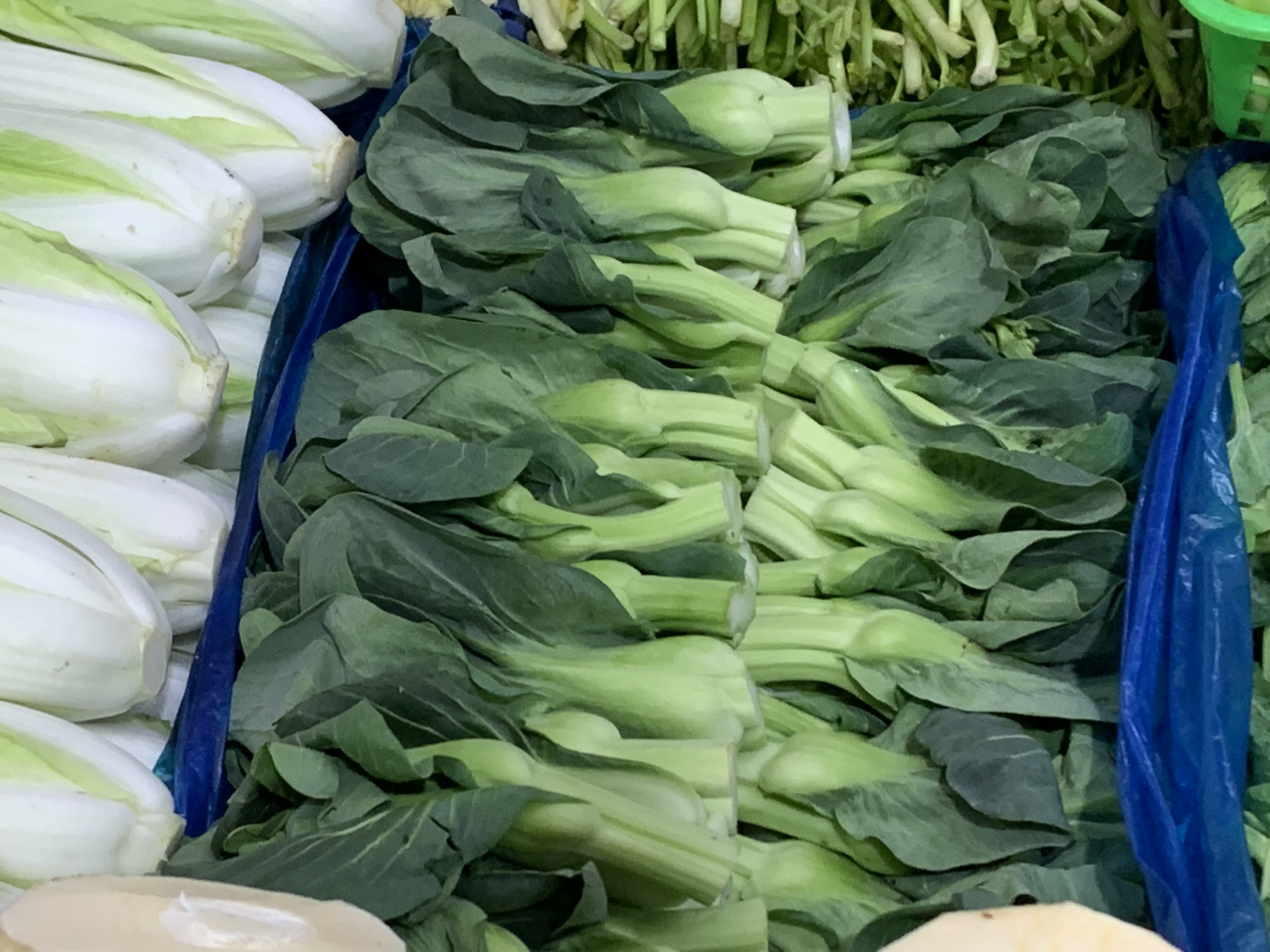 香椿,韭菜,马兰头……春菜大量上市赏味正当时