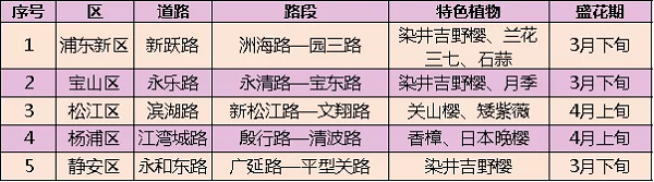 mmexport1615187341679.jpg