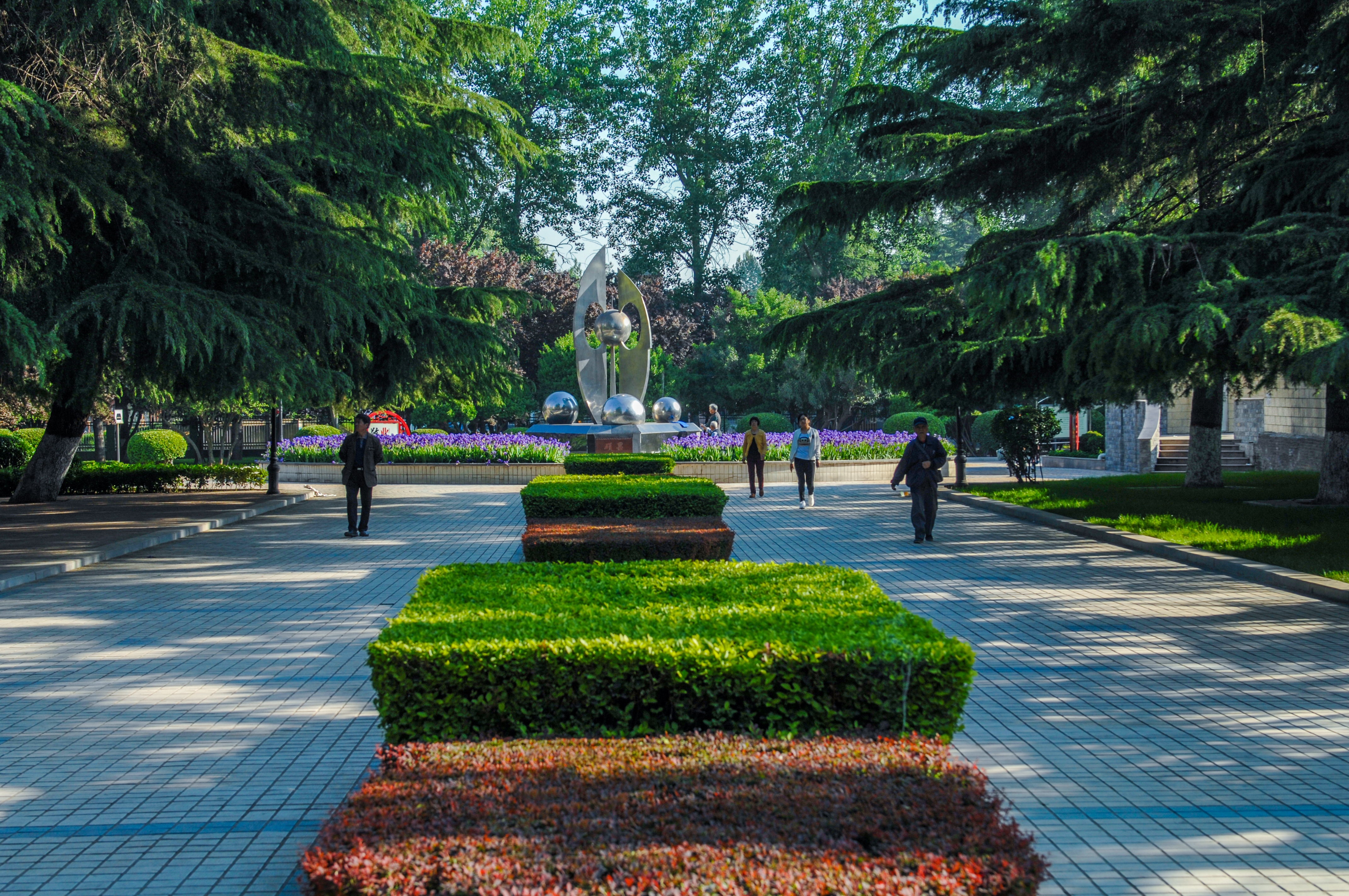 城在林中 楼在园中 人在景中——上街区现代宜居公园城区建设成效初显