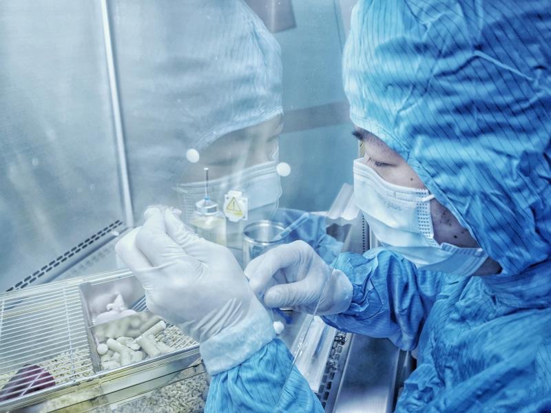 日前,在复旦大学附属肿瘤医院实验动物中心,胰腺外科团队正在进行关于“特殊氨基酸对胰腺肿瘤代谢的影响”的小鼠试验。摄影:王广兆