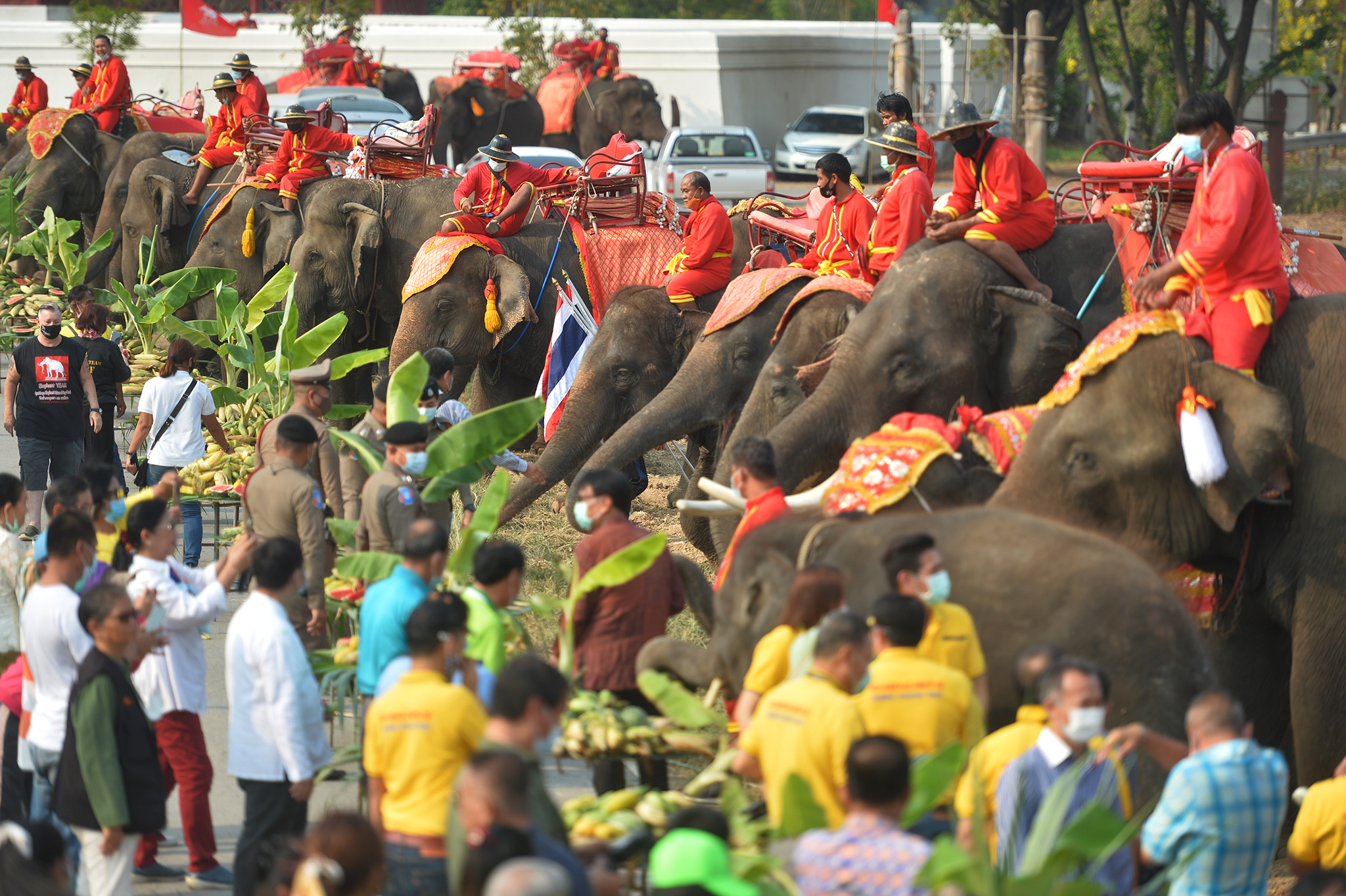 泰国马沙大象营开放 游客与大象亲密接触