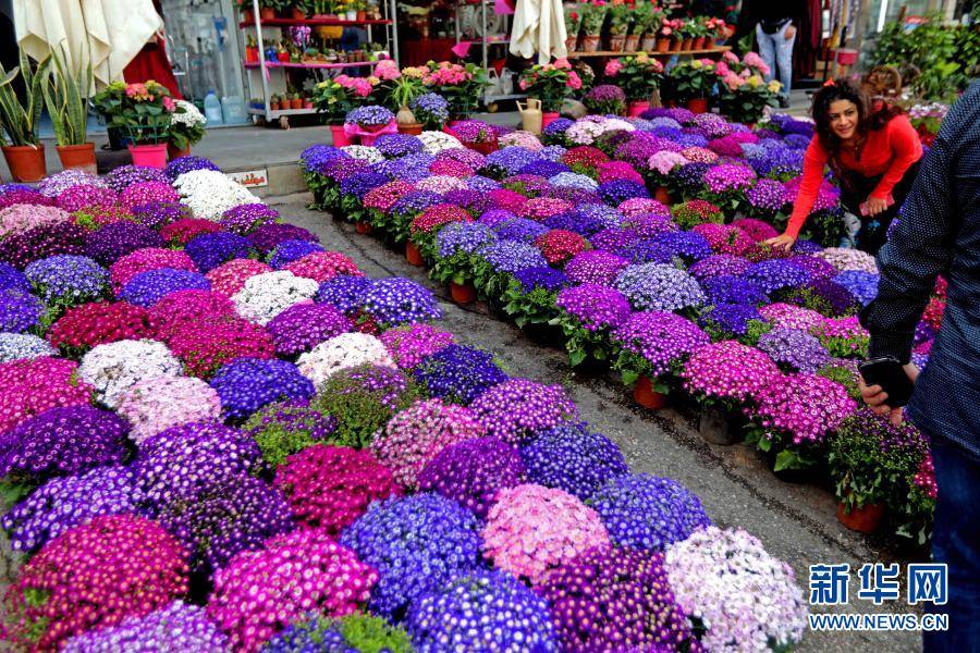 黎巴嫩人买花迎接母亲节 黎巴嫩人买花迎接母亲节