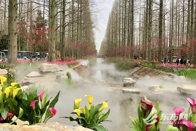 21年崇明花朝节开幕正式开门迎客的花博南园有何看点 当代商报