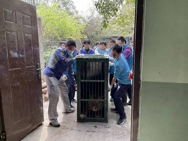 和平公园动物顺利搬迁至上海动物园检疫区进行检疫2.jpg