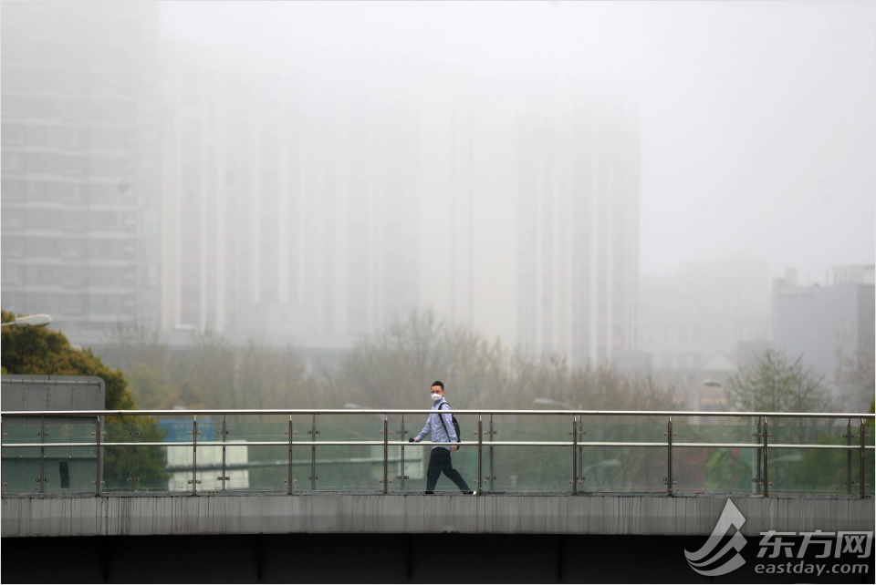 大雾黄色预警高挂上海今晨一片雾茫茫