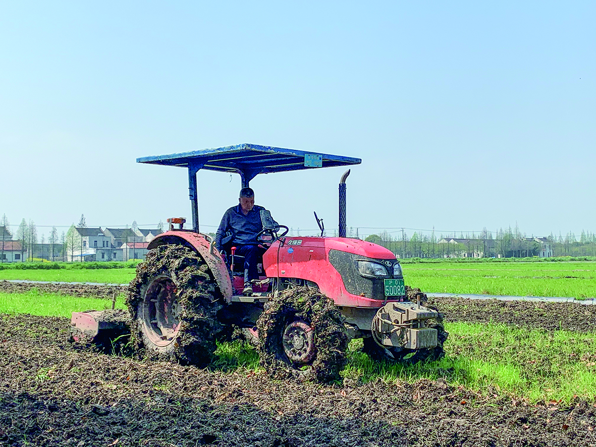 抢前抓早忙备耕 早稻9月可上市——泖港镇胡光村春耕大幕即将拉开
