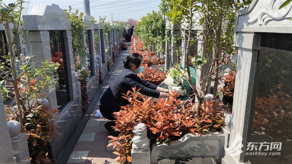 正清明节迎来祭扫最高峰,上海各大墓园多手段保障安全绿色祭扫