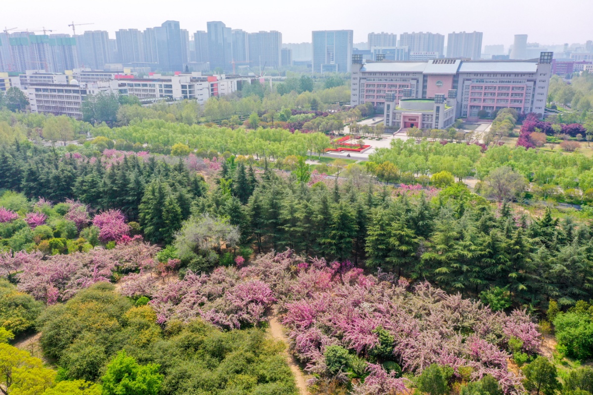 点击图片可跳转至下一页