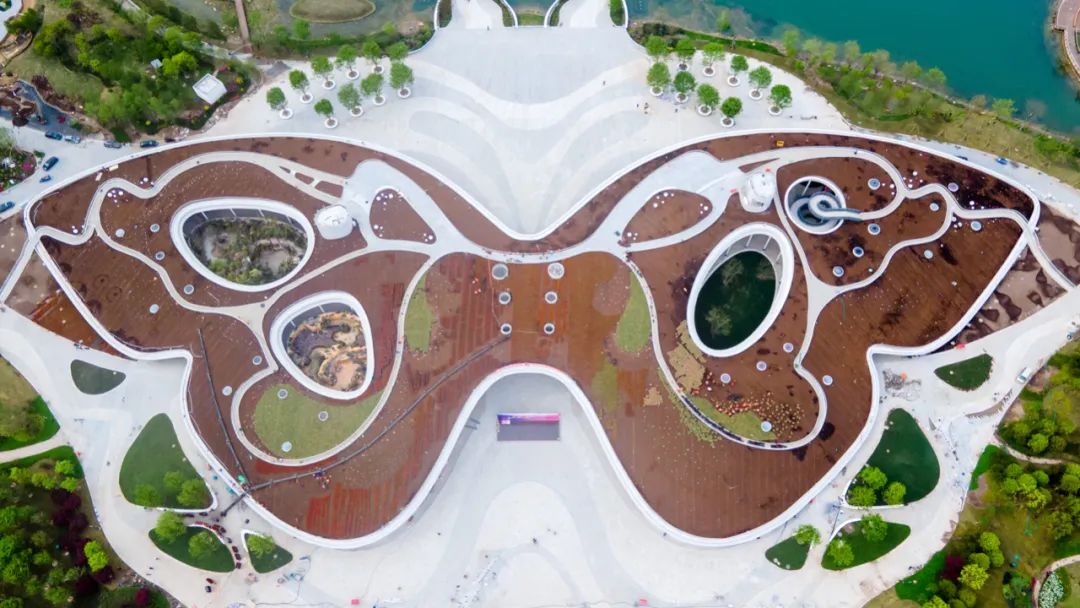 花博会"大蝴蝶"正式"上色"!实景图来了