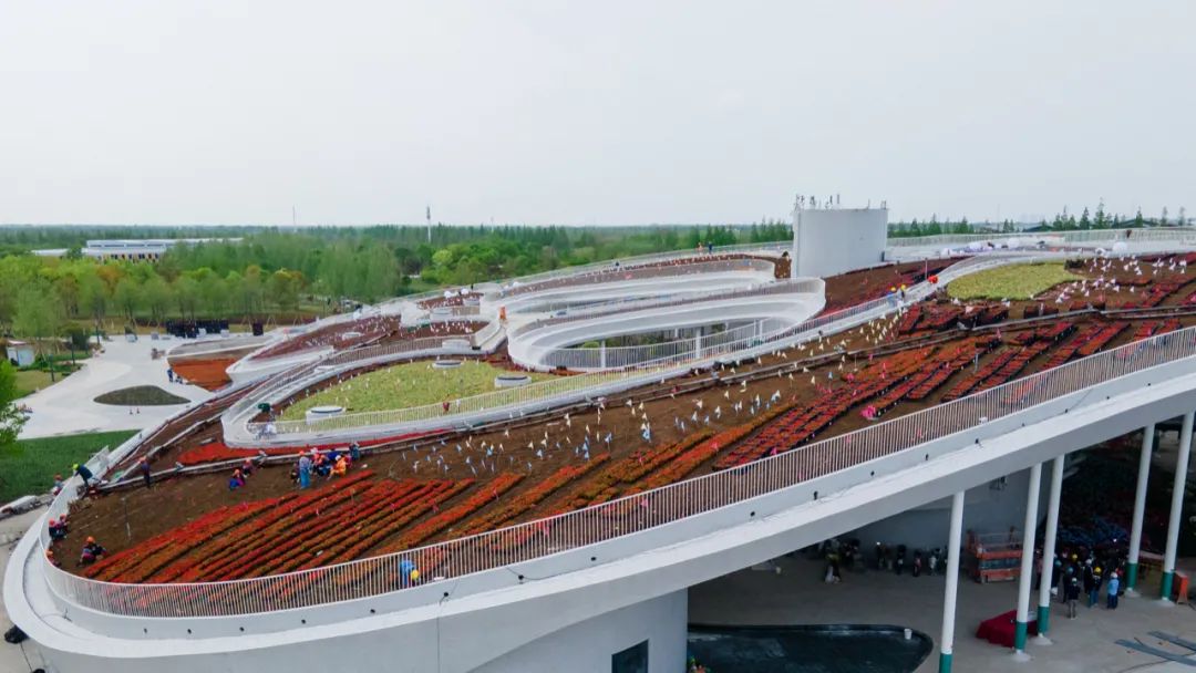 花博会"大蝴蝶"正式"上色"!实景图来了