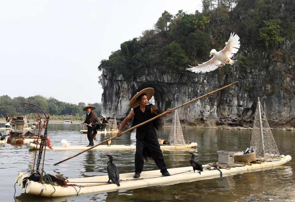 奋斗百年路 启航新征程丨"红 绿"让漓江人端起"金饭碗"