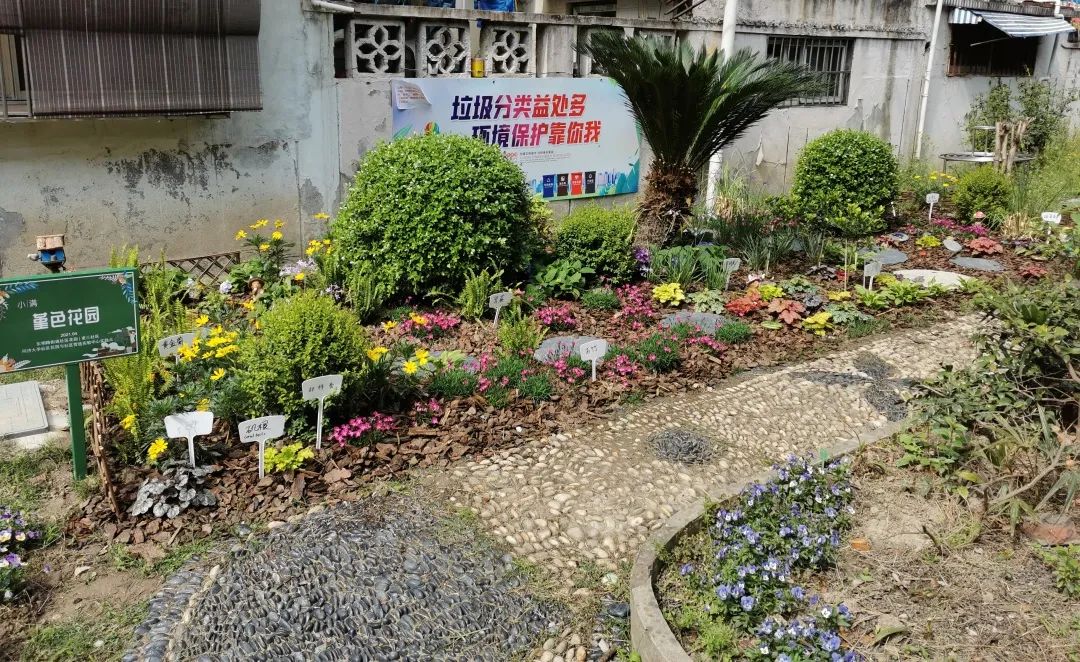 门前空地变身迷你花园 有你家小区吗?