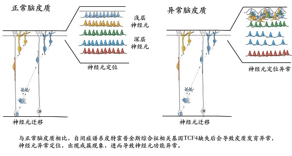 0509_1_极速看图.jpg