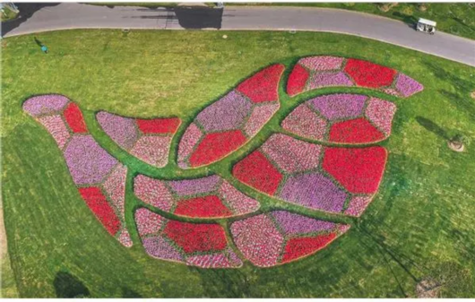 辰山植物园这处经典景点升级啦!来看航拍大图