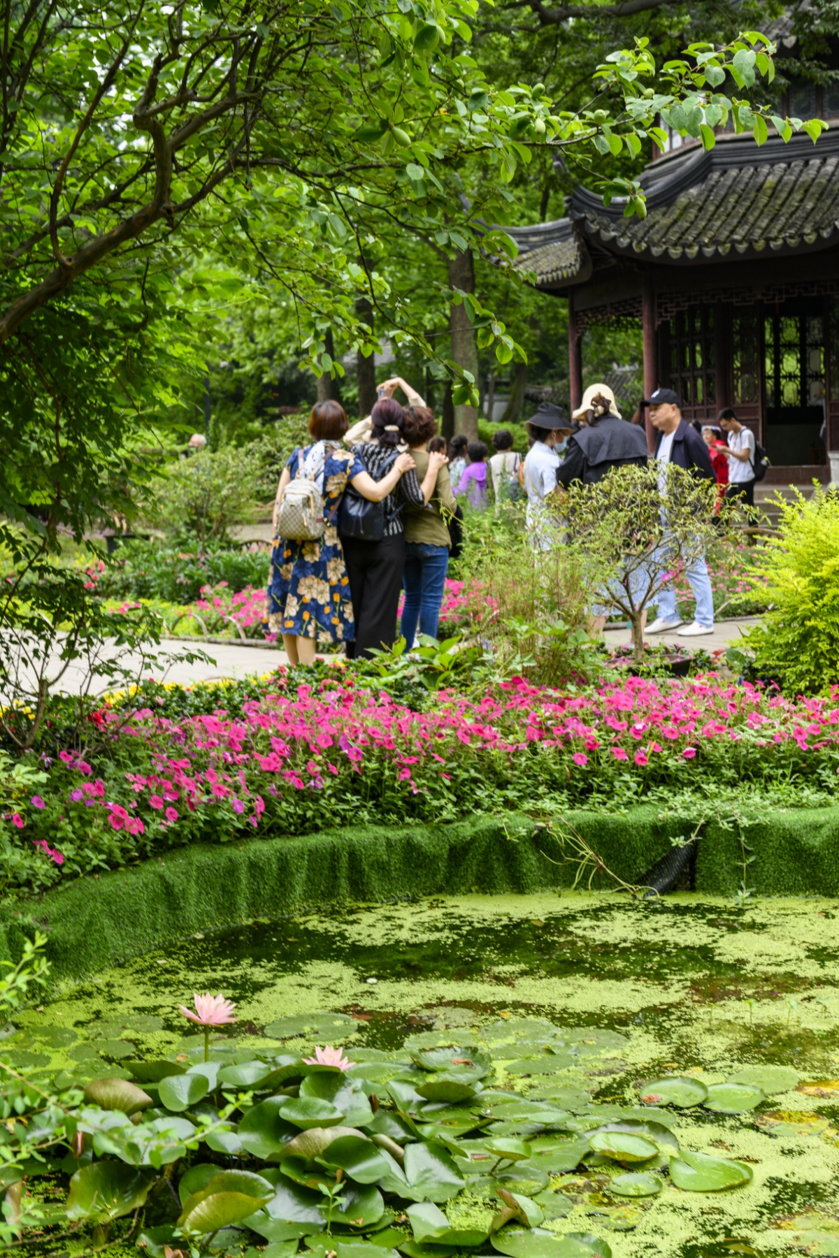 88江苏苏州:阴天凉爽舒适 拙政园中游人众多2021年5月13日,江苏苏州