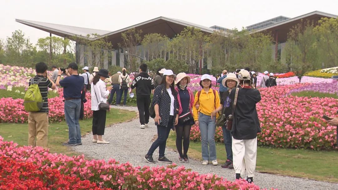 花博会开幕在即 来看 网红 打卡点 简直太美了