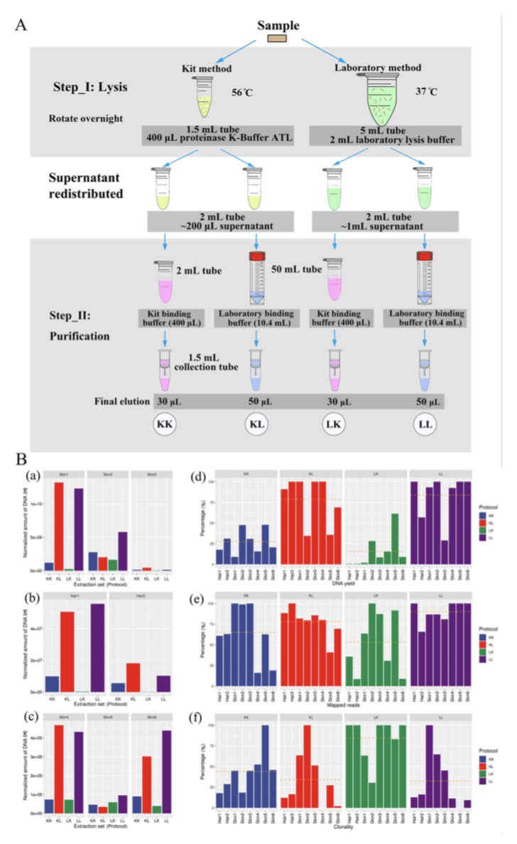 陈旧动物皮张的古DNA提取方法比较研究。A：对比实验方案设计；B：总DNA量、内源DNA含量、克隆率、内源DNA片段质量等结果的对比