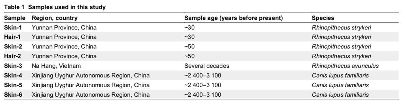 用于研究的6例样本。