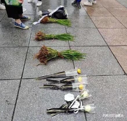 一幅作品缅怀袁隆平的 两个梦想