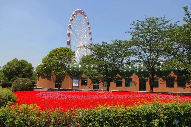 初夏的宝山顾村公园 明亮你的心情