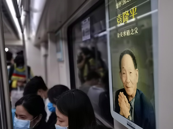 袁隆平追悼会当天,长沙地铁显示屏上的缅怀图片。澎湃新闻记者 朱远祥 图 (本文图片除特别注明外,均由受访者提供)