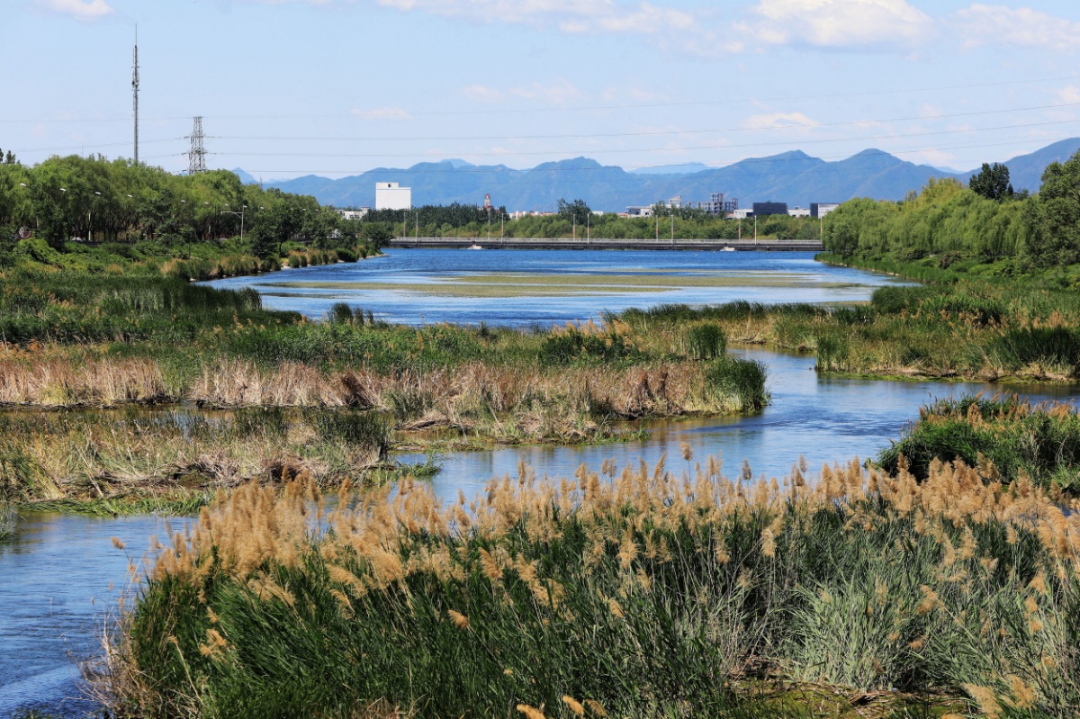 北京密云潮白河生态补水 22年来首次实现全线水流贯通
