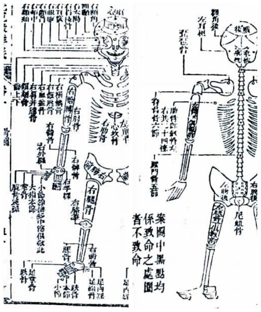 网剧 御赐小仵作 仵作极简史