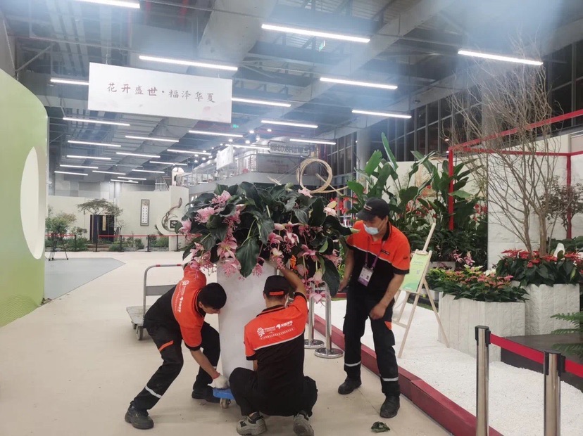 花博会开启首轮集中换花看看 大蝴蝶 屋顶有哪些新亮点