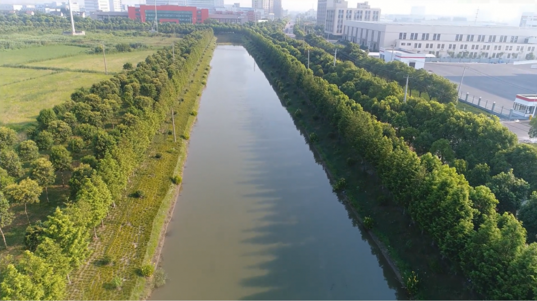 青浦河道图图片